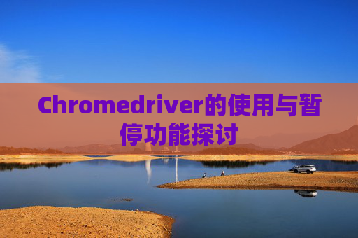 Chromedriver的使用与暂停功能探讨
